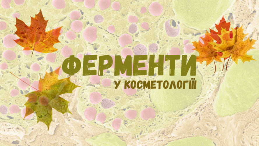Ферменты в косметологии и дерматологии: маркетинг или настоящее чудо?